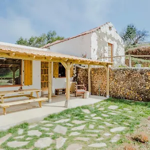 https://el-pino-centenario.tenerifehoteles.net